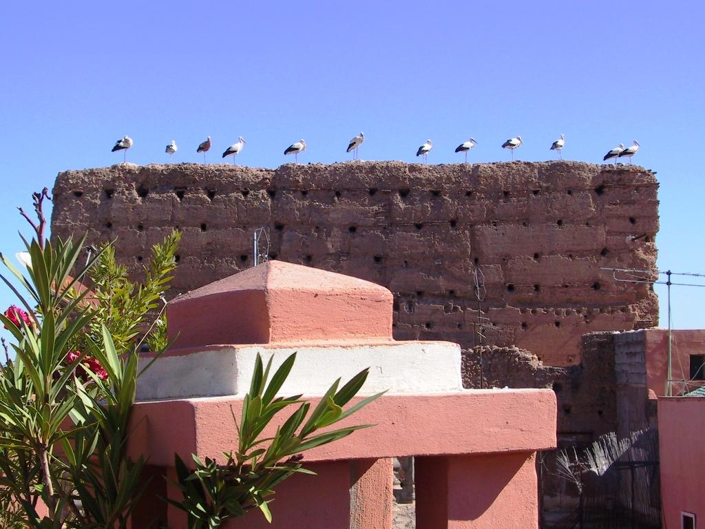 Riad El Farah Kasbah Marrakesh Esterno foto